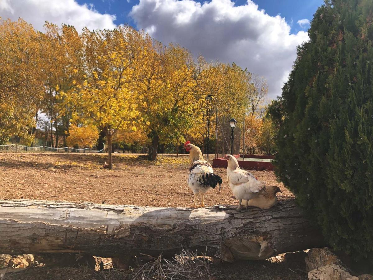 Los Manantiales Casa Rural Alcaraz Dış mekan fotoğraf