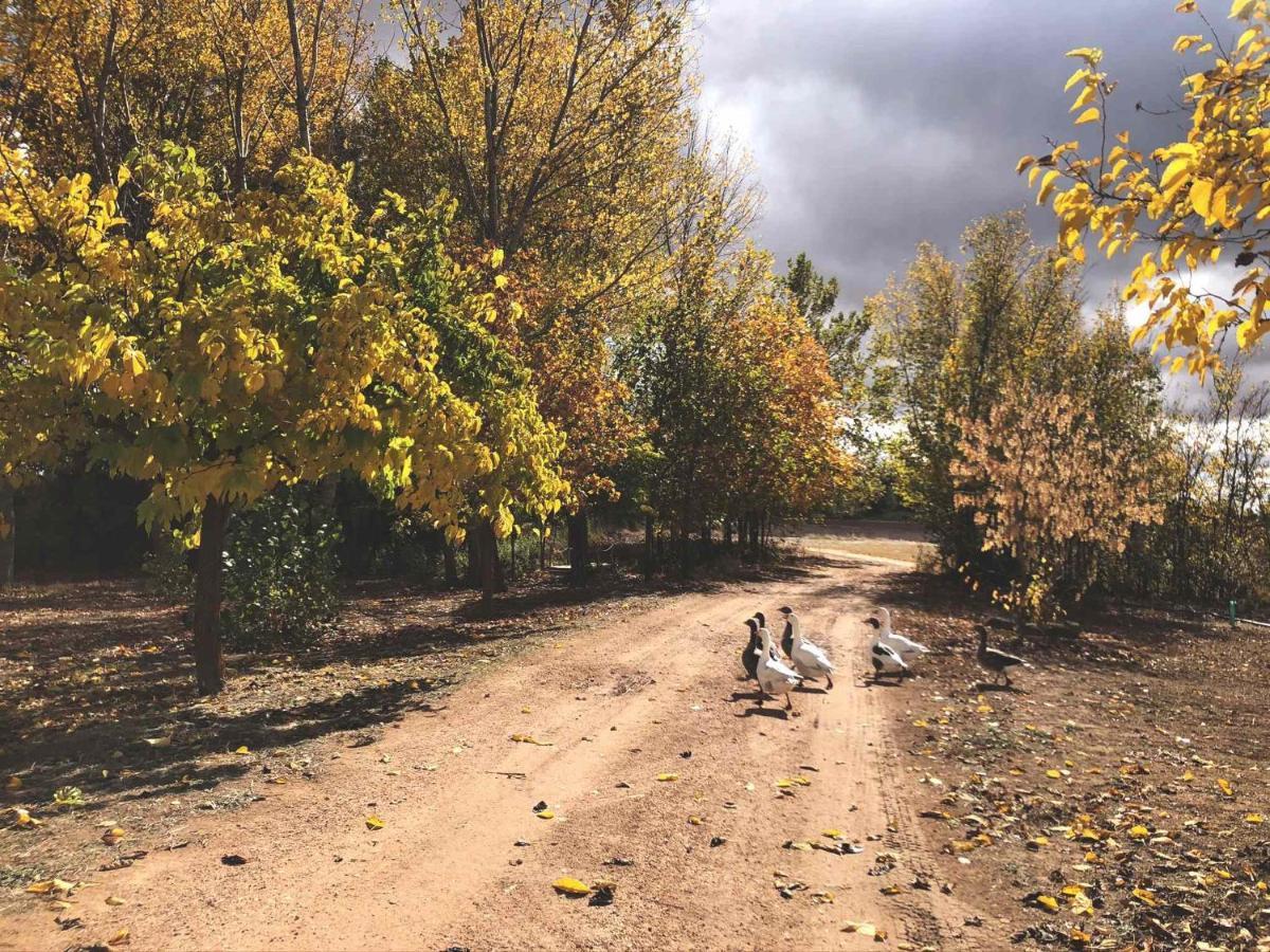 Los Manantiales Casa Rural Alcaraz Dış mekan fotoğraf
