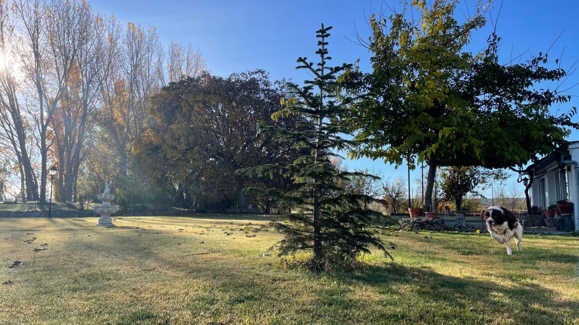 Los Manantiales Casa Rural Alcaraz Dış mekan fotoğraf